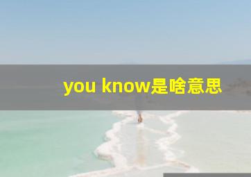 you know是啥意思